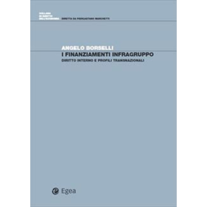 I FINANZIAMENTI INFRAGRUPPO