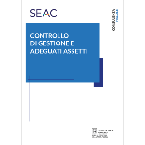 CONTROLLO DI GESTIONE E ADEGUATI ASSETTI