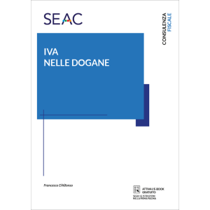 IVA NELLE DOGANE